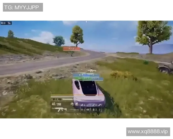 和平精英嘉年华青稚盛典体验青春激情与团队合作的精彩时刻